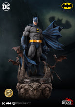 Load image into Gallery viewer, BATMAN PREMIER BLUE AND GRAY