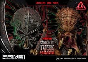 CRACKED TUSK PREDATOR EXCLUSIVE