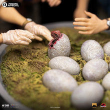 Load image into Gallery viewer, PRE-ORDER: DINO HATCHING ART SCALE