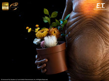 Load image into Gallery viewer, PRE-ORDER: E.T. 1/3 SCALE MAQUETTE