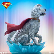 Load image into Gallery viewer, PRE-ORDER: KRYPTO PREMIUM FORMAT
