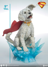 Load image into Gallery viewer, PRE-ORDER: KRYPTO PREMIUM FORMAT