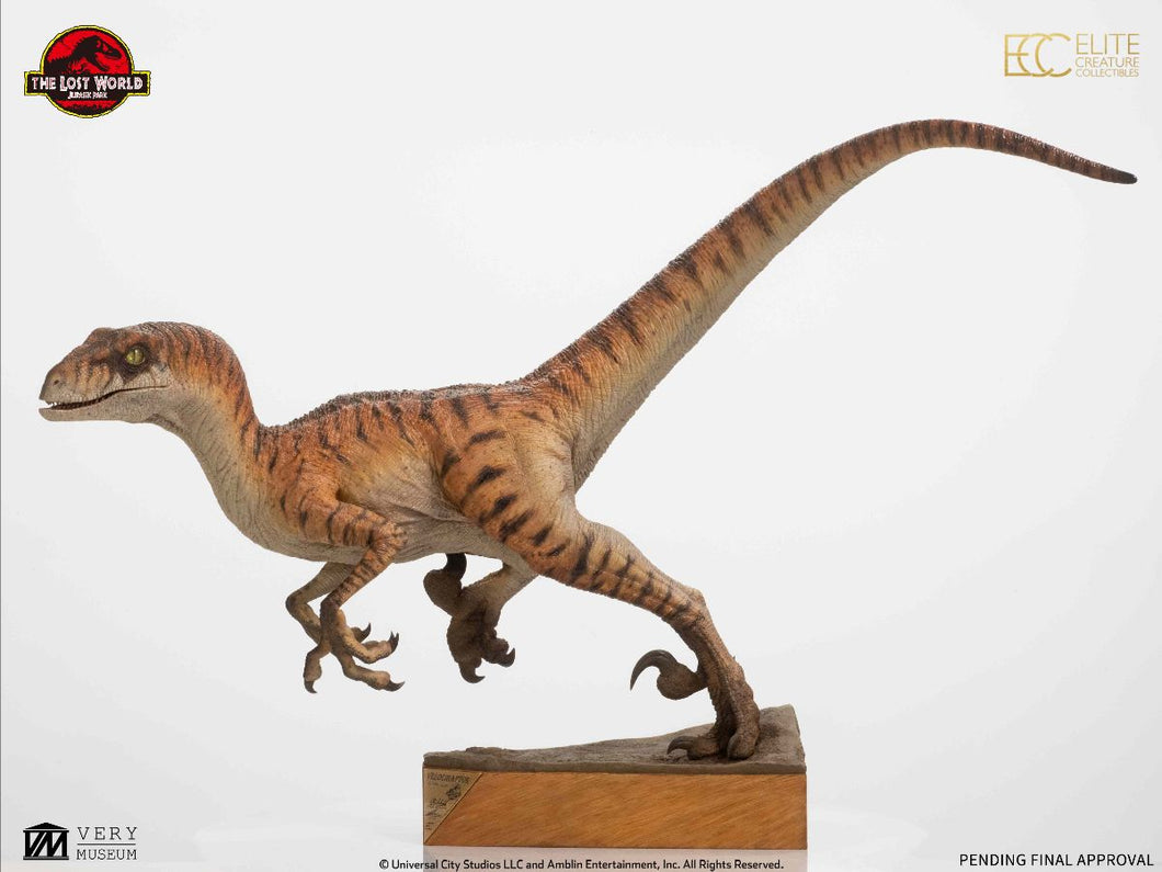 PRE-ORDER: MALE RAPTOR MAQUETTE