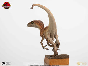 PRE-ORDER: MALE RAPTOR MAQUETTE