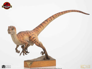 PRE-ORDER: MALE RAPTOR MAQUETTE