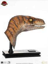 Load image into Gallery viewer, PRE-ORDER: THE LOST WORLD MALE RAPTOR BUST