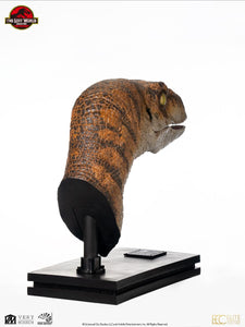 PRE-ORDER: THE LOST WORLD MALE RAPTOR BUST