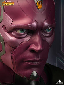 VISION LIFE SIZE BUST
