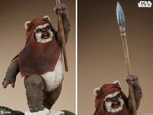 Load image into Gallery viewer, PRE-ORDER: WICKET PREMIUM FORMAT