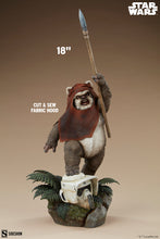 Load image into Gallery viewer, PRE-ORDER: WICKET PREMIUM FORMAT