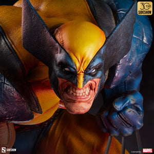 PRE-ORDER: WOLVERINE: BERSERKER RAGE