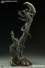 Load image into Gallery viewer, Alien Internecivus Raptus Statue