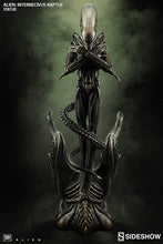Load image into Gallery viewer, Alien Internecivus Raptus Statue