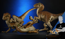 Load image into Gallery viewer, Crash McCreery&#39;s Baby Raptors