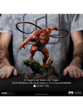 Load image into Gallery viewer, PRE-ORDER: BEAST MAN BDS ART SCALE