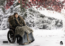 Load image into Gallery viewer, BRAN STARK SIXTH SCALE