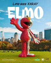 Load image into Gallery viewer, PRE-ORDER: LIFE SIZE XXRAY ELMO