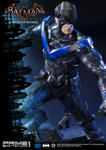 Load image into Gallery viewer, NIGHTWING EXCLUSIVE