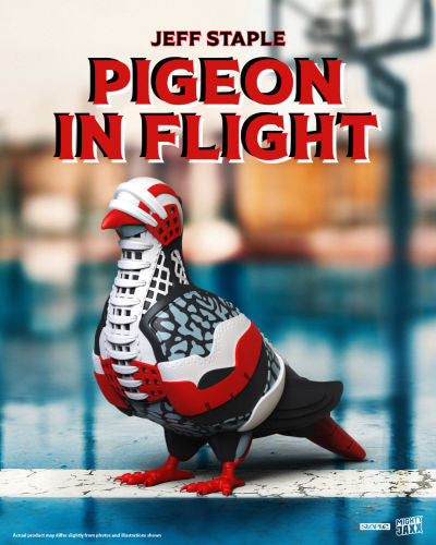 PIGEON IN FLIGHT