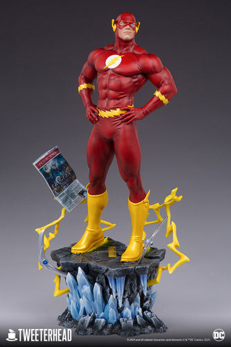 THE FLASH MAQUETTE