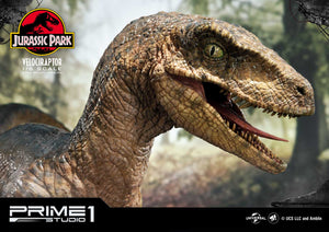 Pre-Order: Velociraptor Open Mouth Version